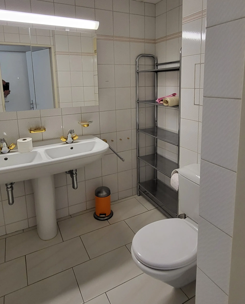 wohnung-Binningen_Bad_alt-831x1030